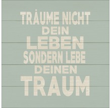 Dekoratives Schild mit der Aufschrift: Träume nicht dein Leben, sondern lebe deinen Traum.