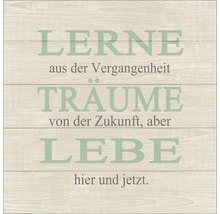 Dekoratives Holzschild mit dem Spruch ''Lerne aus der Vergangenheit, Träume von der Zukunft, aber lebe hier und jetzt.''