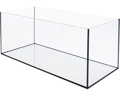 Leeres rechteckiges Glasaquarium
