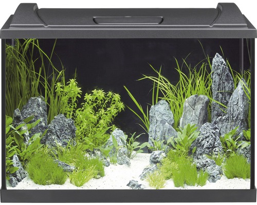 Aquarium EHEIM aquaproLED 84 avec éclairage à LED, filtre, chauffage, thermomètre, filet sans meuble bas, noir