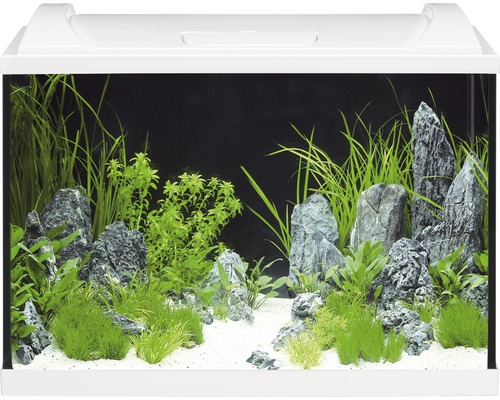Aquarium EHEIM aquaproLED 84 avec éclairage à LED, filtre, chauffage, thermomètre, filet sans meuble bas, blanc