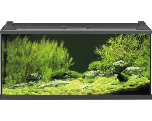 Aquarium EHEIM aquaproLED 180 avec éclairage à LED, filtre, chauffage, thermomètre, filet sans meuble bas, noir