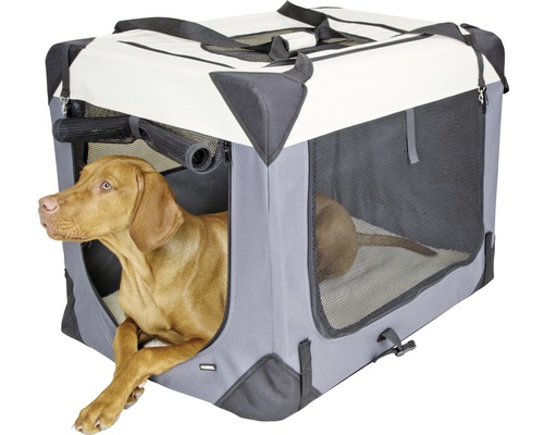 Hund in einer grauen und weißen Hundetransportbox mit Netzfenstern