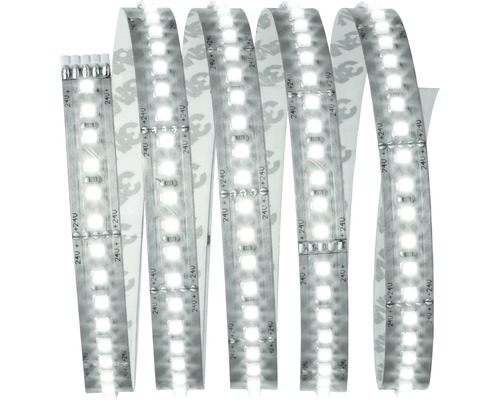 Bandeau LED avec diodes électroluminescentes blanches