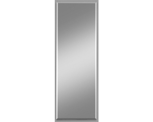 Miroir cristal Gennil 40x100 cm