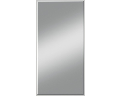 Miroir en cristal Gennil 50x110 cm