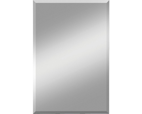 Miroir cristal Gennil 60x100 cm