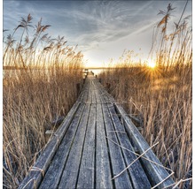 Passerelle en bois à travers les roseaux jusqu''à un lac au lever du soleil.