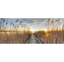 Passerelle en bois à travers les roseaux jusqu''à un lac au coucher du soleil