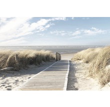 Chemin en bois menant à la plage avec sable et dunes
