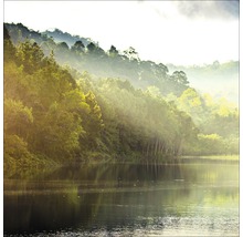 Paysage avec lac et colline boisée dans le brouillard