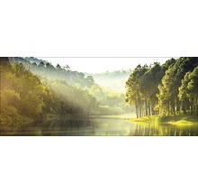 Paysage avec lac, forêt et brouillard matinal