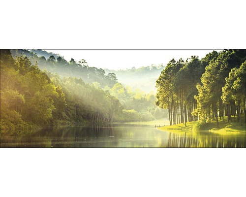 Paysage avec lac, forêt et brouillard matinal