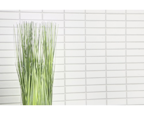 Herbes décoratives devant un mur en carreaux de mosaïque blancs.