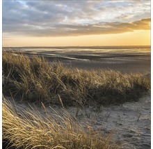 Scène de plage avec sable et herbe au matin
