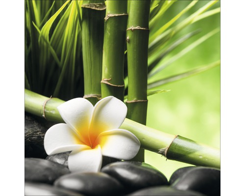 Bambusstäbe, Frangipani-Blüte und Steine