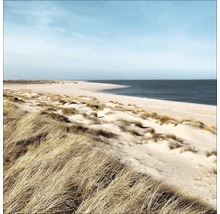 Paysage de dunes sur la plage avec mer et ciel bleu.