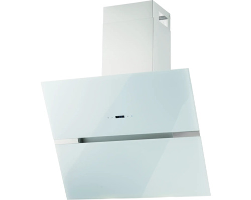 Hotte murale en verre et métal pour la cuisine