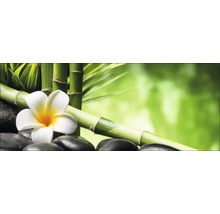 Dekorative Anordnung mit Bambus, Frangipani-Blüte und schwarzen Steinen