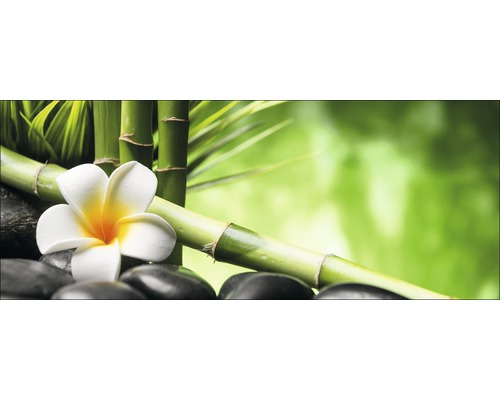 Dekorative Anordnung mit Bambus, Frangipani-Blüte und schwarzen Steinen