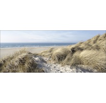 Paysage de dunes avec oyats et mer