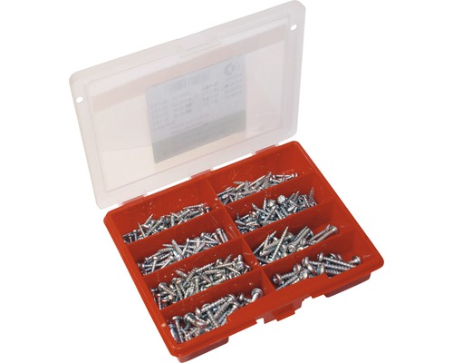 Sortimentskasten mit verschiedenen Schrauben