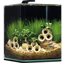 Aquarium DENNERLE Nano Cube Complete+ 10 l - Style LED S avec éclairage LED, substrat, filtre, paroi arrière, thermomètre-thumb-1