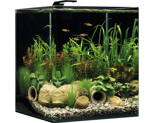 Lampe Dennerle pour aquarium