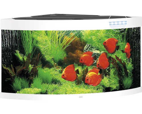 Aquarium Juwel Trigon 350 LED avec éclairage,filtre et chauffage sans sous-meuble blanc