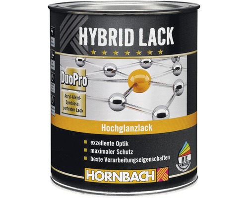 Dose Hybridlack mit Hochglanz von Hornbach