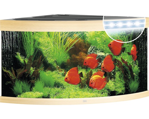 Aquarium Juwel Trigon 350 LED avec éclairage,filtre et chauffage sans sous-meuble bois clair