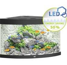 Aquarium JUWEL Trigon 190 mit LED-Beleuchtung, Filter, Heizer ohne Unterschrank schwarz-thumb-2