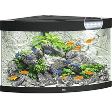 Aquarium JUWEL Trigon 190 mit LED-Beleuchtung, Filter, Heizer ohne Unterschrank schwarz-thumb-0
