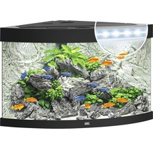 Aquarium JUWEL Trigon 190 mit LED-Beleuchtung, Filter, Heizer ohne Unterschrank schwarz-thumb-1
