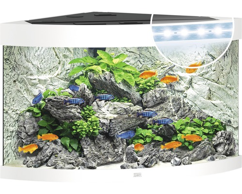 Aquarium Juwel Trigon 190 LED blanc