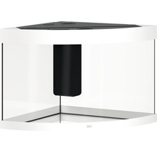 Eckaquarium mit Filtersystem