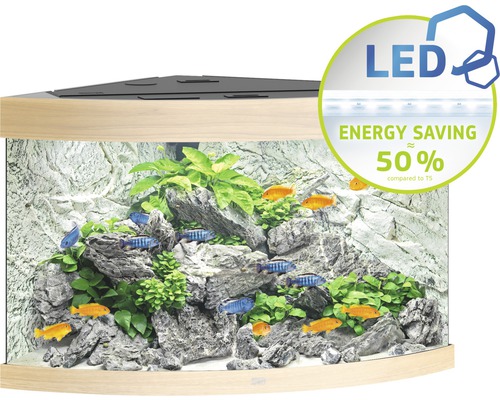 Aquarium d''angle avec poissons, plantes, pierres et éclairage LED