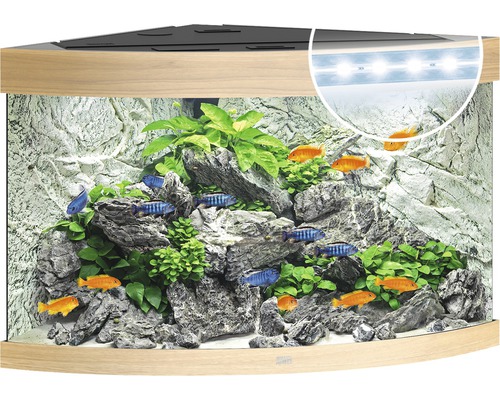 Aquarium Juwel Trigon 190 LED avec éclairage,filtre et chauffage sans sous-meuble bois clair