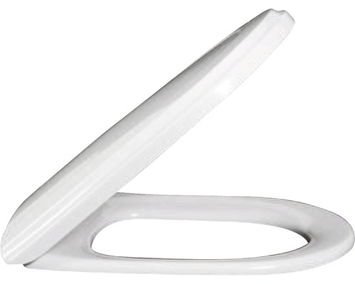 Abattant de toilette pour une utilisation dans la salle de bain