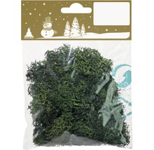 Sac de mousse d''Islande