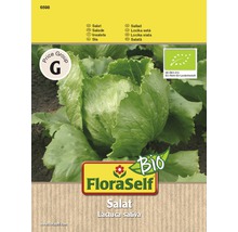 FloraSelf Laitue Lactuca sativa Sachet de graines