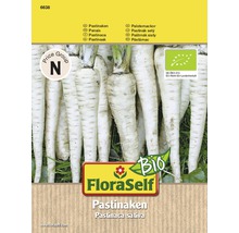 FloraSelf Sachet de graines de panais