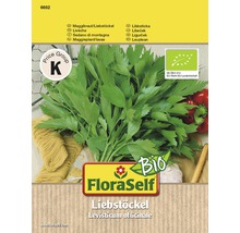 FloraSelf Livèche Sachet de graines