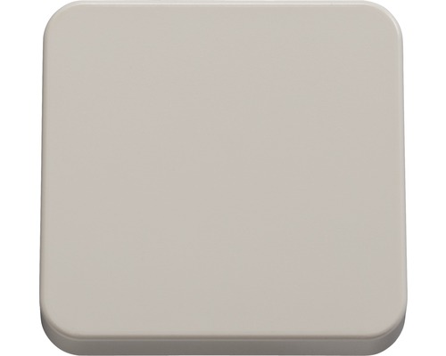 Bascule neutre ROTH LANGE 57010 cache pour interrupteur Basic blanc électrique Plaque de recouvrement carrée