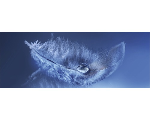 Plume avec goutte d''eau