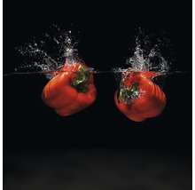 Glasbild Modern Vegetable II 50x50 cm GLA1225