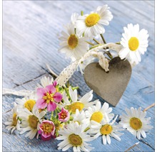Marguerites décoratives et cœur sur fond en bois