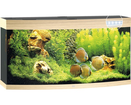 Aquarium Juwel Vision 260 LED avec éclairage,chauffage et filtre sans sous-meuble bois clair