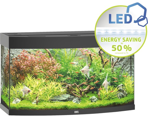 Aquarium avec poissons et plantes