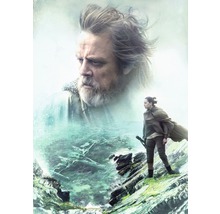 Fototapete Papier 4-438 Disney Edition 4 Star Wars Last Jedi 4-tlg. 184 x 254 cm